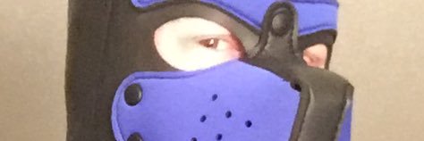 RubberWoxtoy's profile banner image