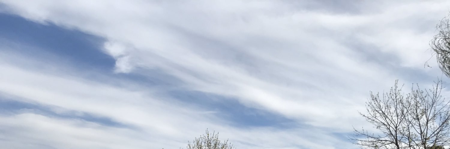 Lucas Modarelli banner