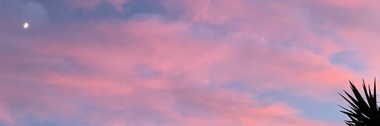 Servanevlt's profile banner image