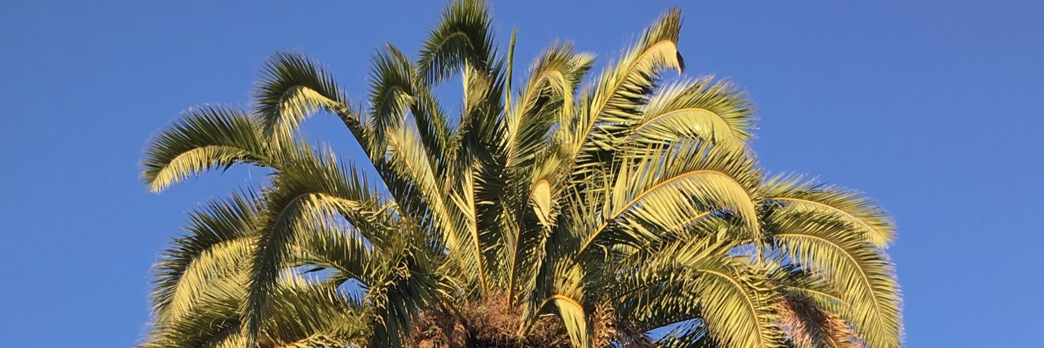 deannaharvey15's profile banner image