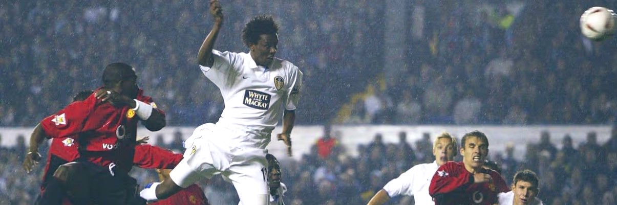 Steve Greenwood banner