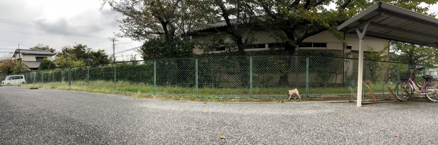 misuzu_522's profile banner image