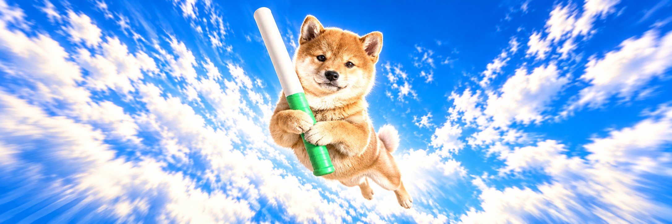 FLYINGBATON_sol's profile banner image