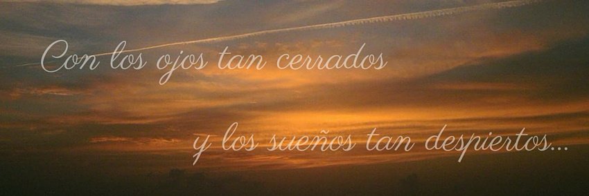 Katy Donoso banner