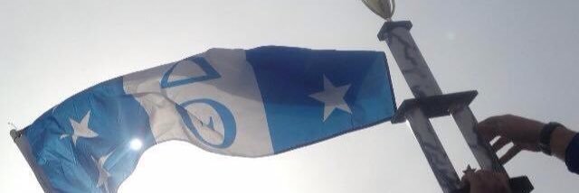 PJ Adams banner