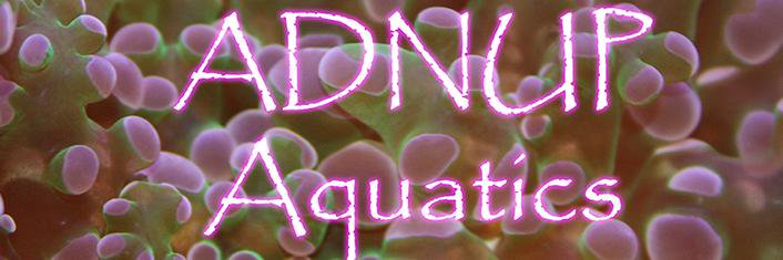 ADNUPAquatics's profile banner image