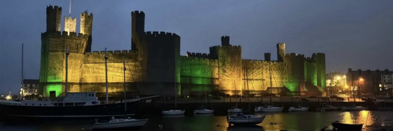 Bethan Fôn Bryant-Roberts banner