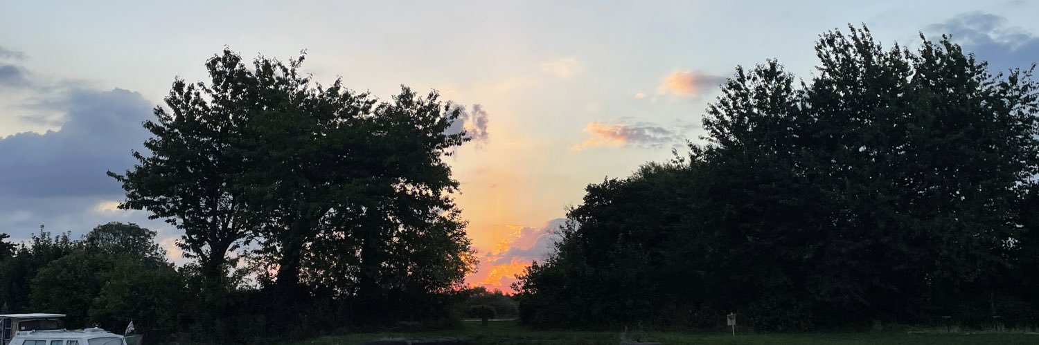 miabellingham's profile banner image