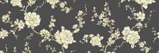 SissiAul's profile banner image