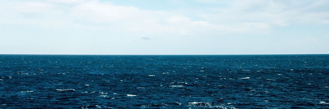 Sofbilineata's profile banner image