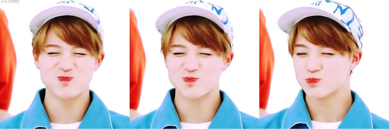 海藻 banner