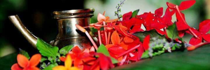 sanalkumarvs93's profile banner image