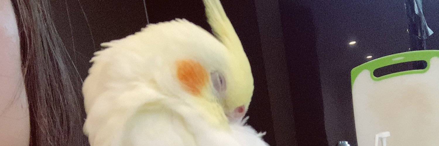 AtOlw's profile banner image