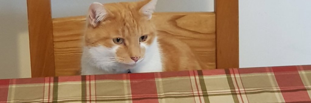 🇺🇦Isabel Reid (she/her)sign name I-A one handed banner