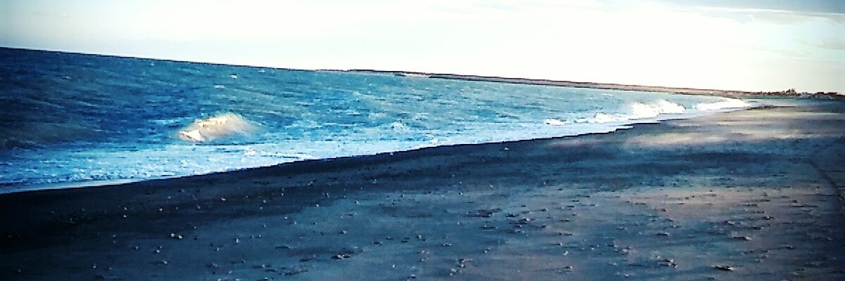 PaliLopez15's profile banner image