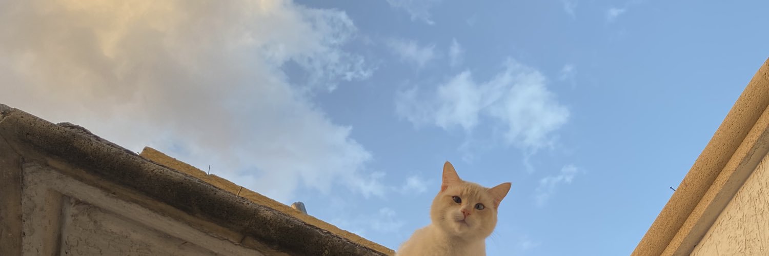 Steffprz02's profile banner image
