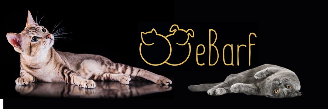 eBarfDE's profile banner image
