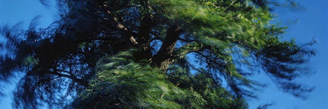 ramkripal8996's profile banner image