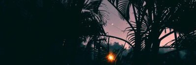 shaynellx_'s profile banner image