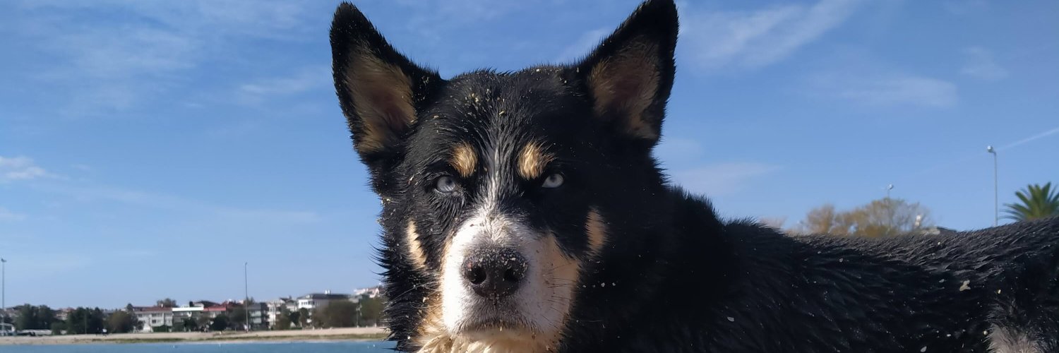 gcereen's profile banner image