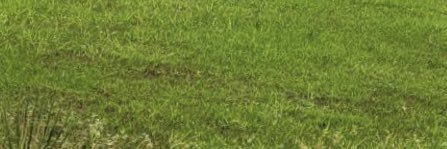 🧢🕶🙂🧳𝖆𝖒𝖗𝖆𝖑𝖘𝒂𝒚𝒆𝒅 banner