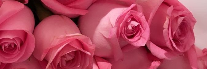 _theyluvtisha's profile banner image