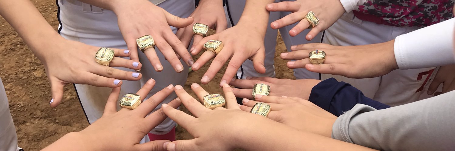 Firebirds Softball banner