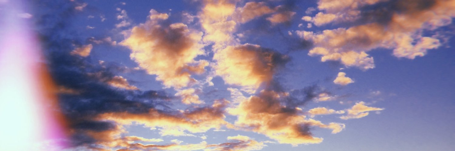 Charlotte Gray banner