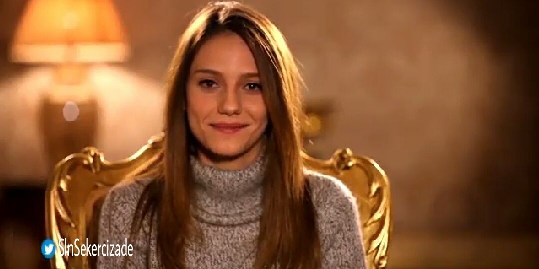 SlnSekercizade's profile banner image