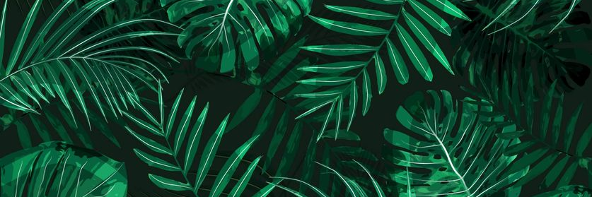 VayaEstilo's profile banner image