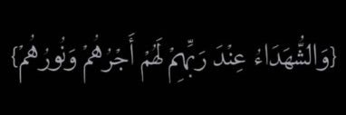 alwardshadi's profile banner image