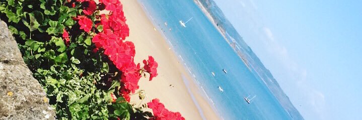 Lynne_74's profile banner image