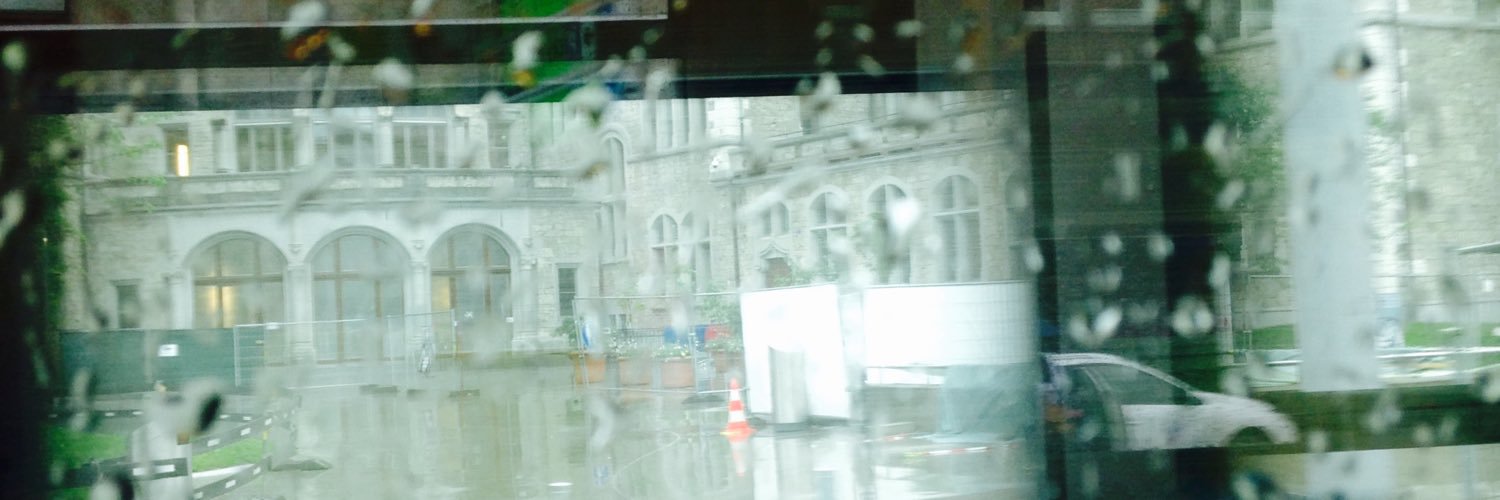 RichardYangZJU's profile banner image