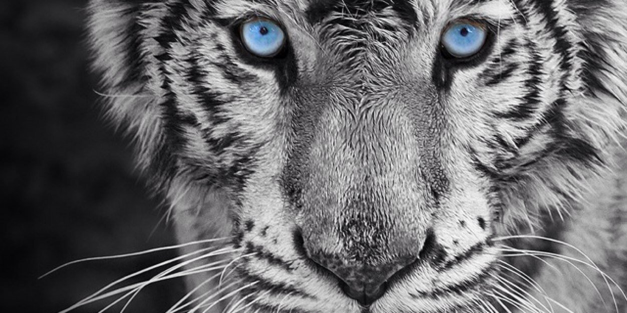 johnmendes2's profile banner image