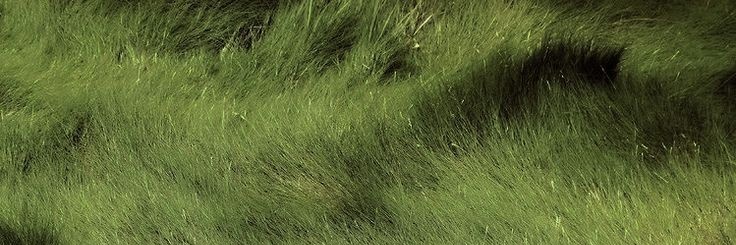 seveul's profile banner image