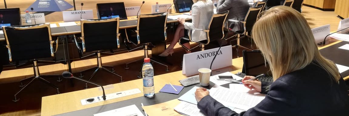 Sandra Codina Tort banner