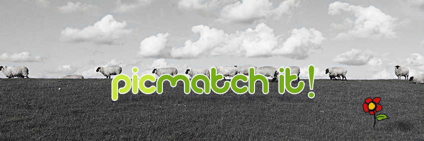 picmatchapp's profile banner image