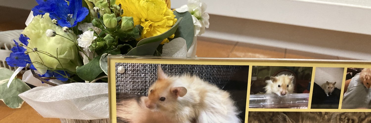 hamukuma31's profile banner image