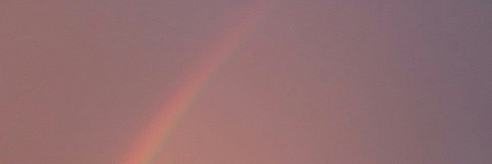 JohnaRuizR's profile banner image