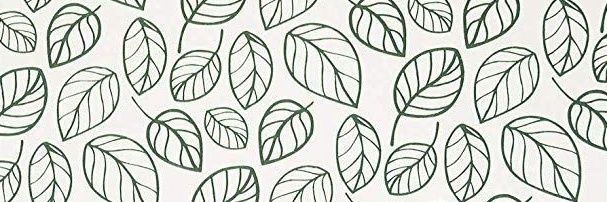 ImCrazyAnn's profile banner image