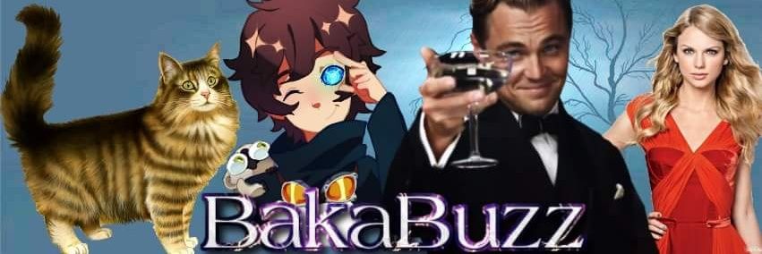BakaBuzz's profile banner image