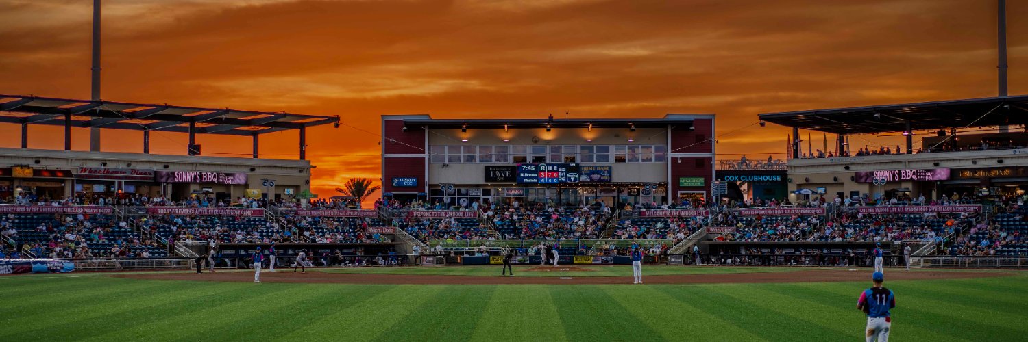 Pensacola Blue Wahoos's banner