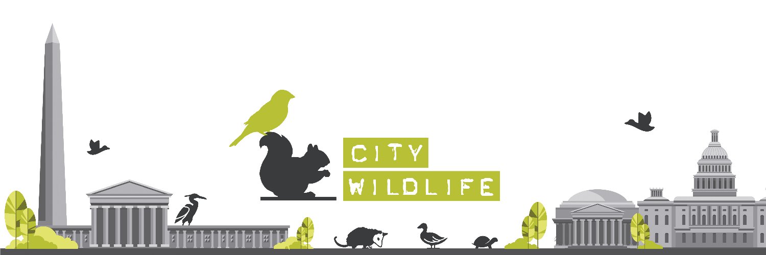 City Wildlife banner