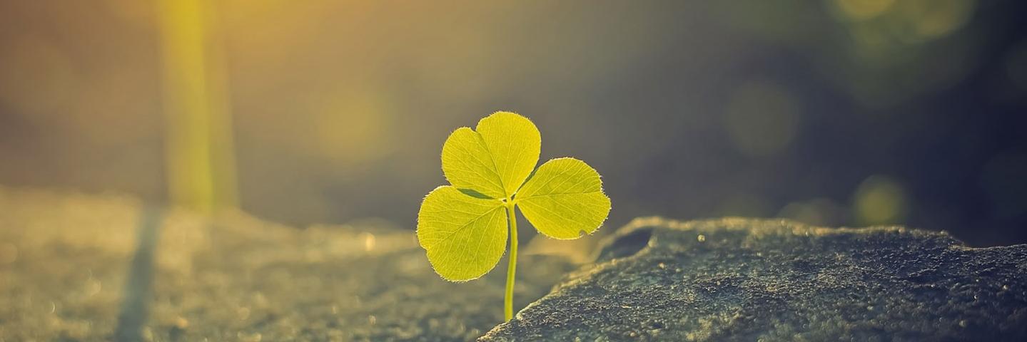 Ppenox's profile banner image