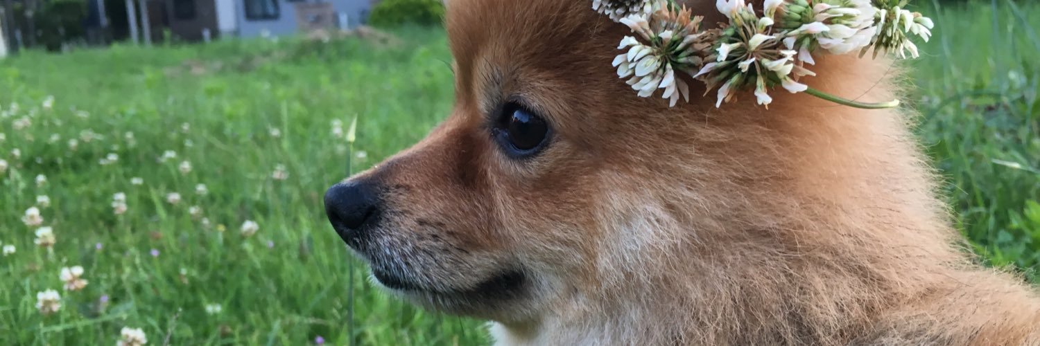 miyu09141's profile banner image