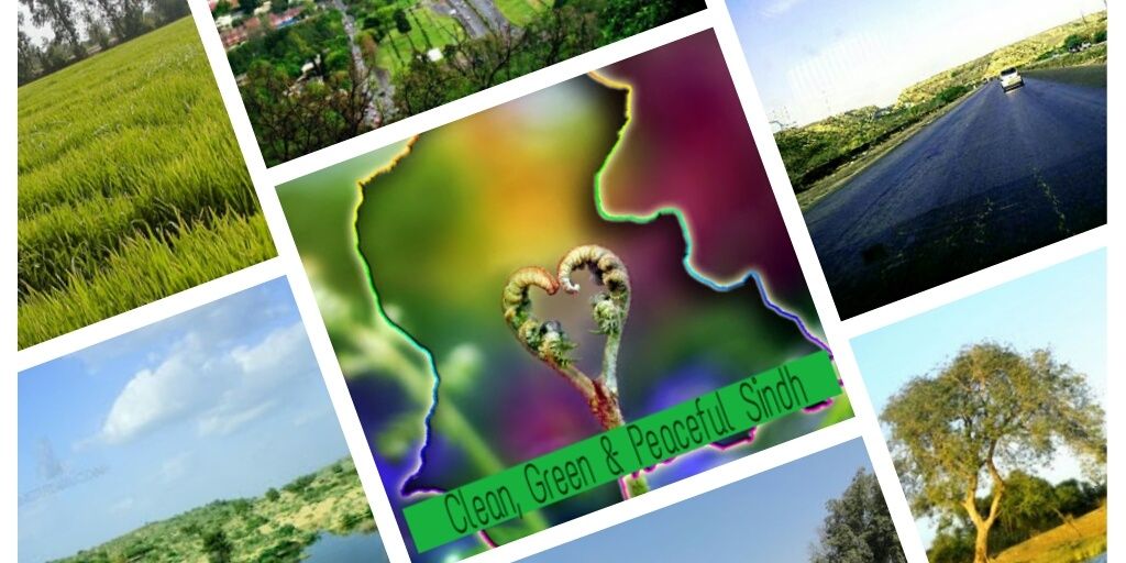 Local Govt Sindh banner