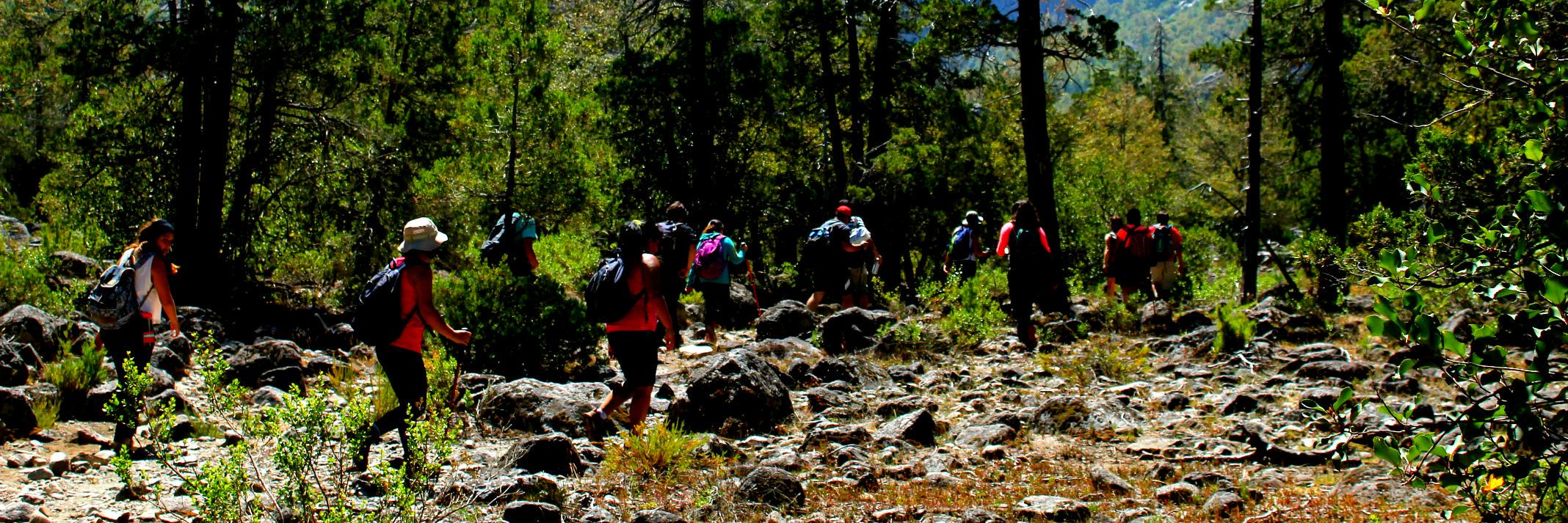 EcoturiLinares's profile banner image
