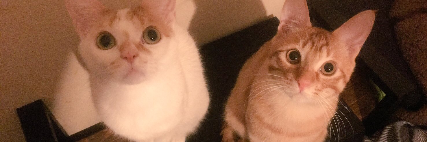 mofullnya's profile banner image