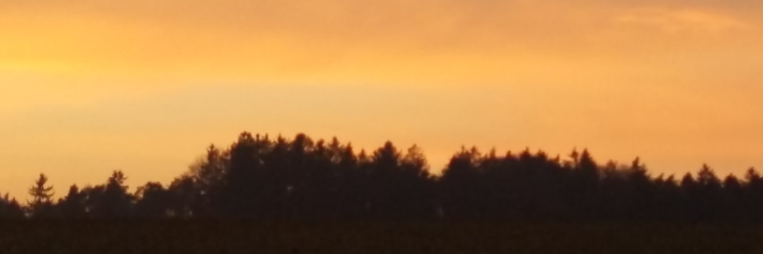 mathias_rappold's profile banner image