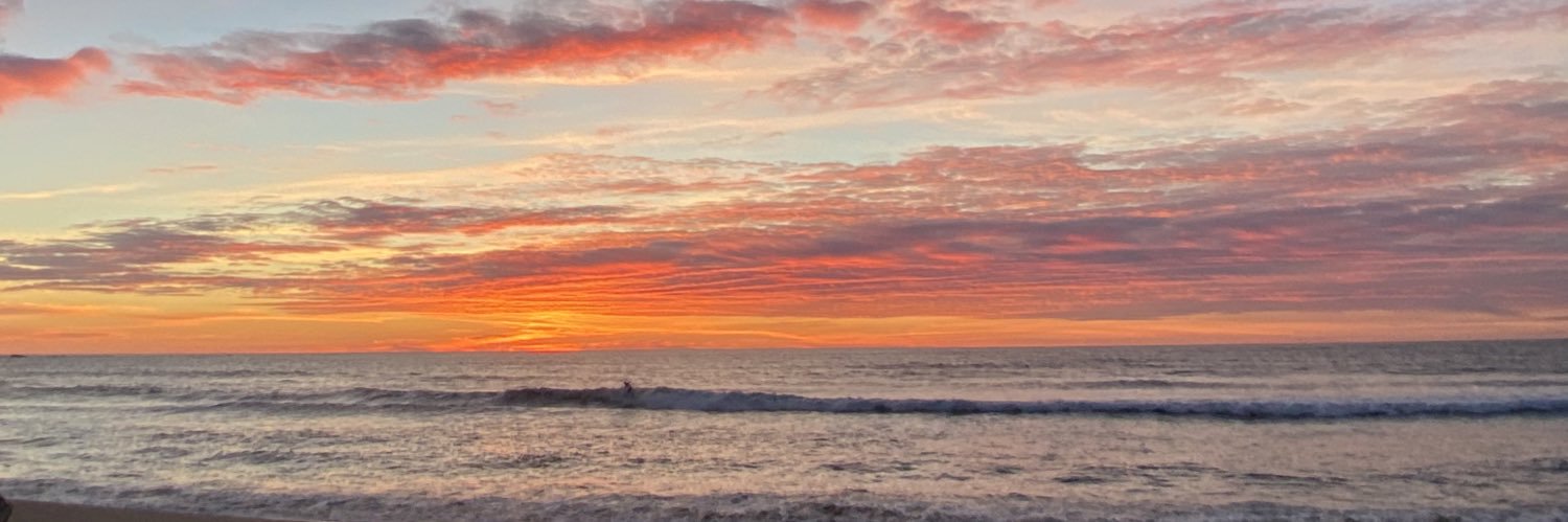 ElisaMartinho's profile banner image